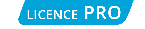 Licence professionnelle sp formation