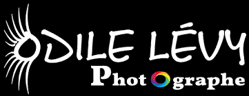 Odile levy photographe sp formation